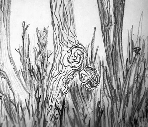 Afstudeerfilm: la ti woe (fragment)