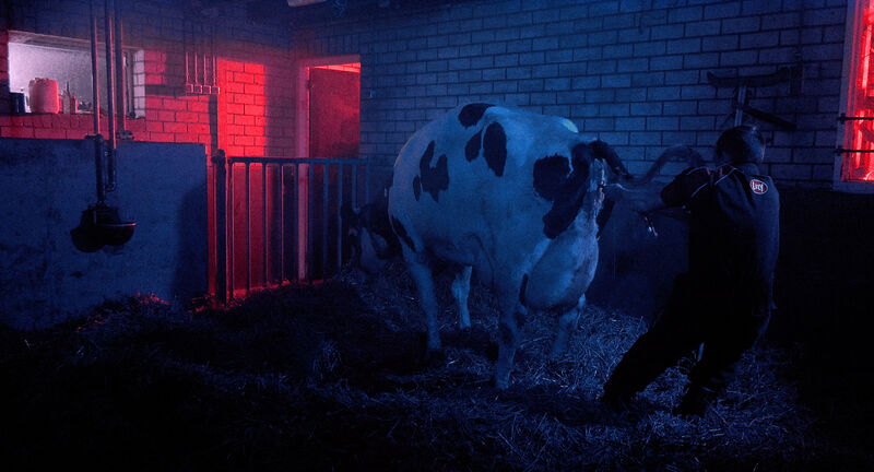 Boeren broeders (2018)