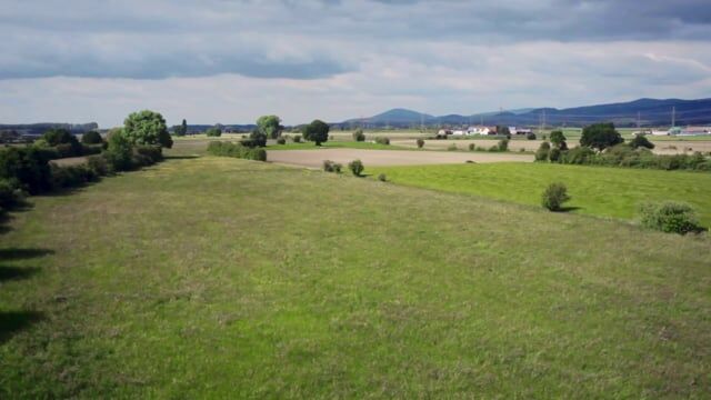 Brabantse titels op NFF