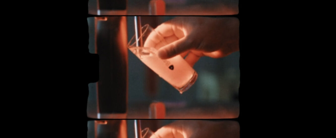 D900D87A-8E98-40A6-B7E6-CD6D620BE850