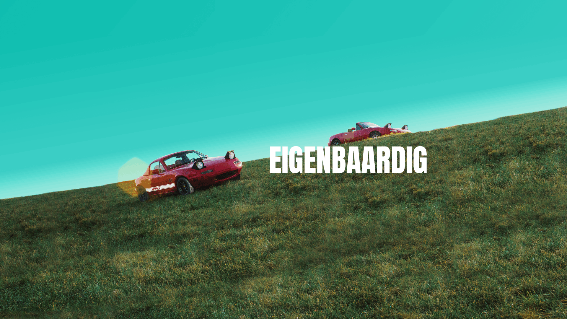 Eigenbaardig
