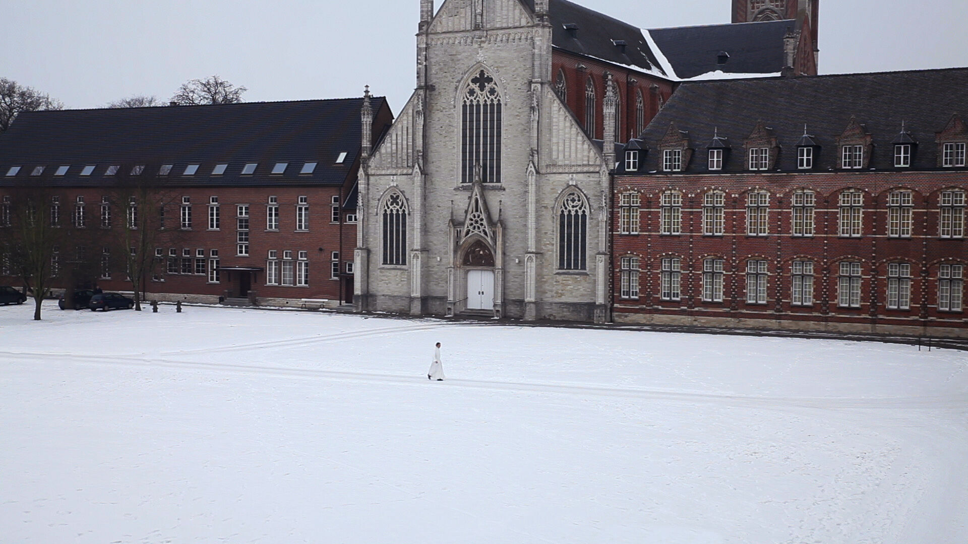Filminstallatie De pauw & de pelikaan