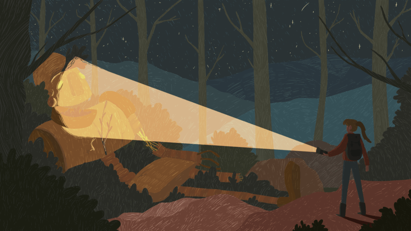 fresh faces: Kimberley Rochat