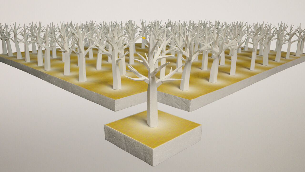 funghi_in_control_00216