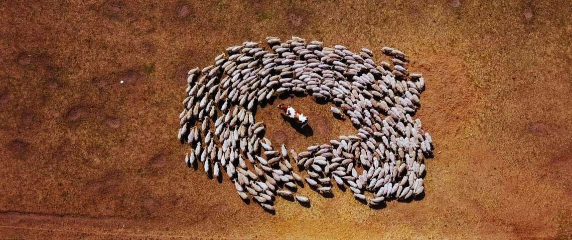 Help, mijn film is af! [3/4]