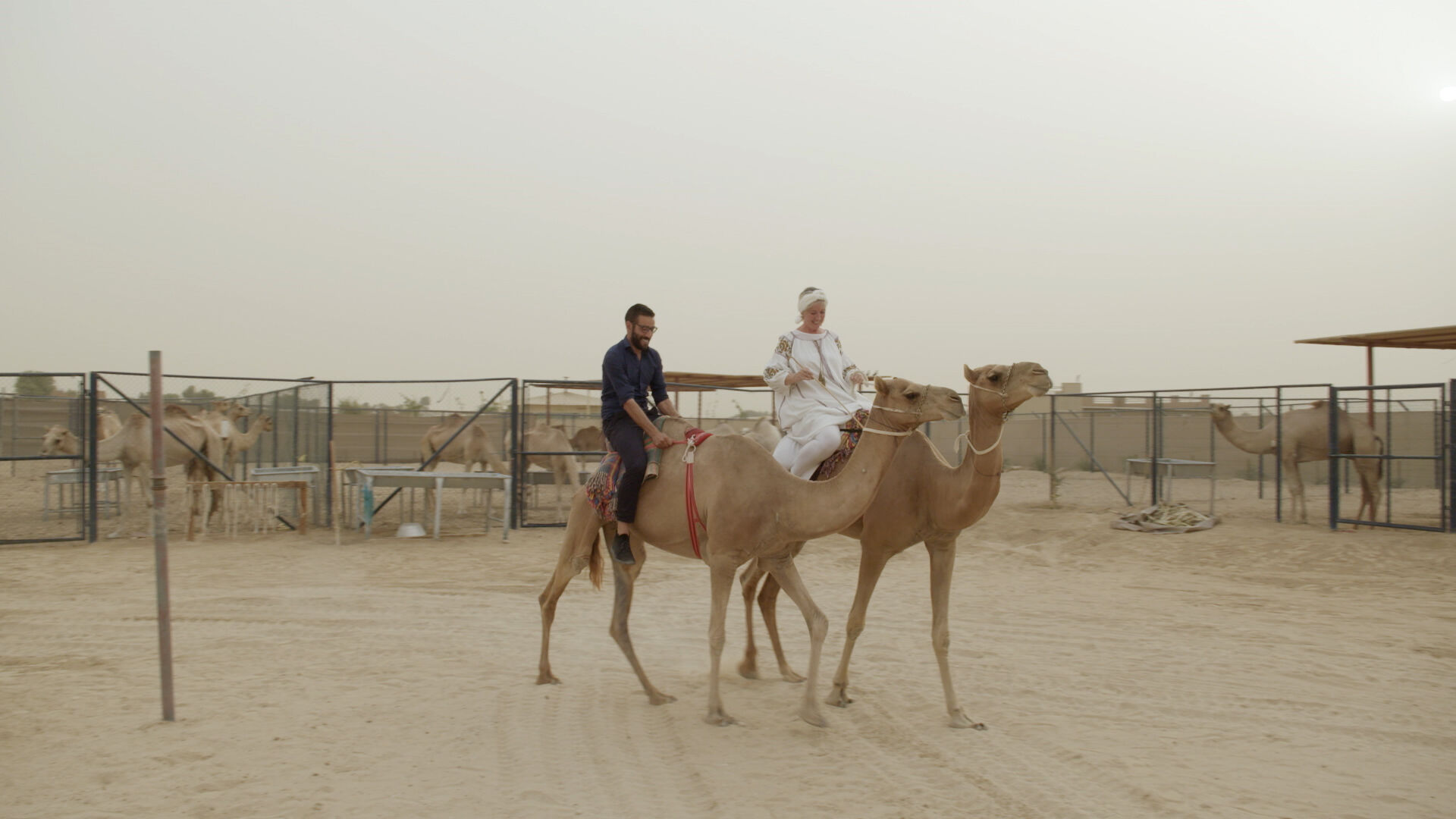 Het Geld van de Sjeik
