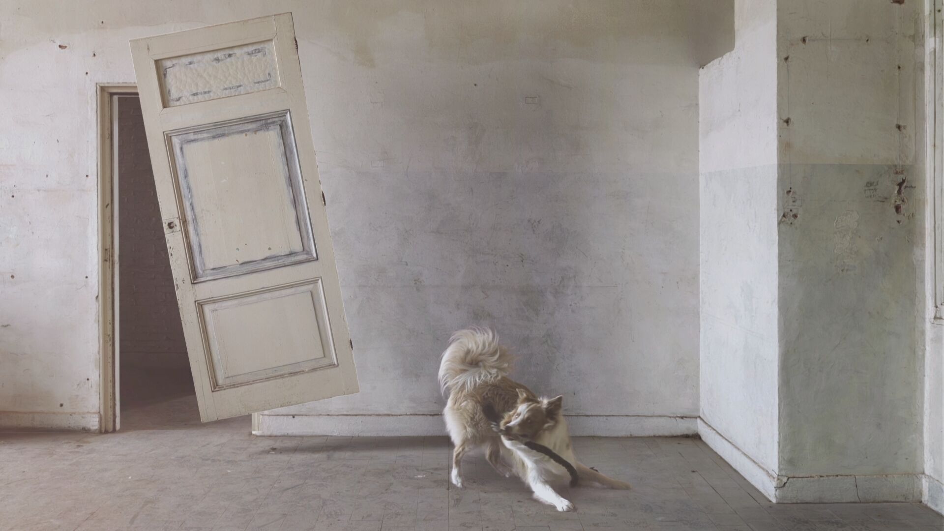 InVacuo_Still_01_HD kopie