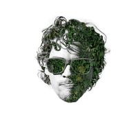 Jasper van den  Elshout