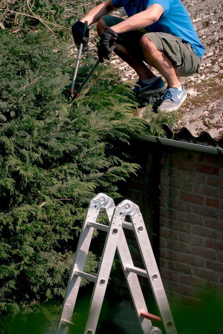 marjolein-schrurs-05947