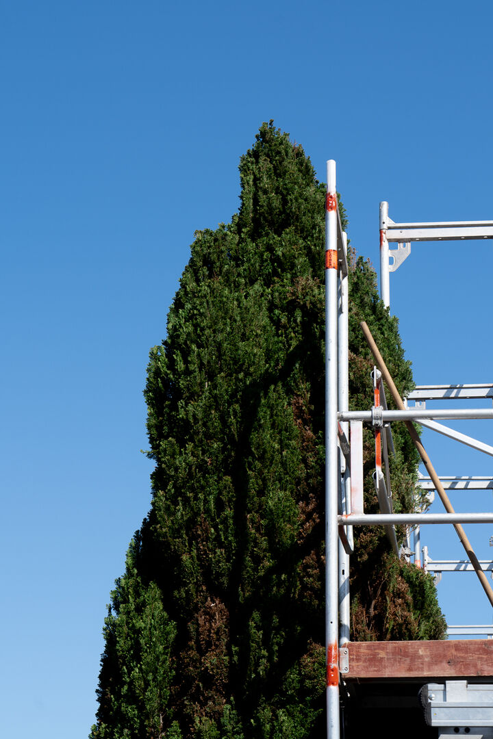 marjolein-schrurs-06135