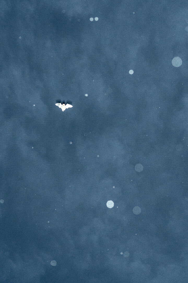 marjolein-schrurs-06432