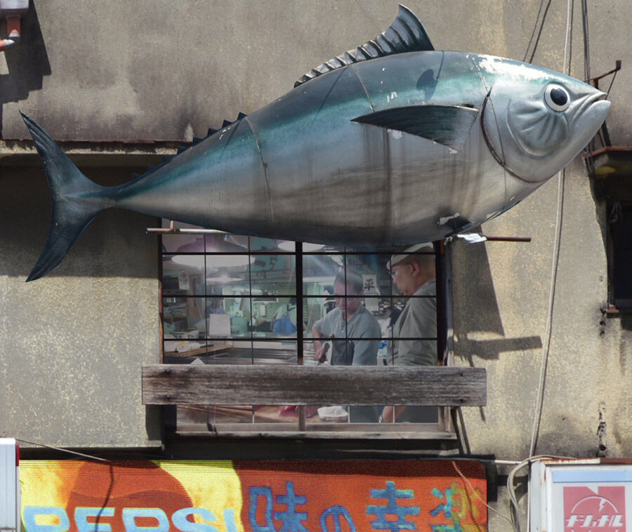 Motion Collages Tokyo [loop]