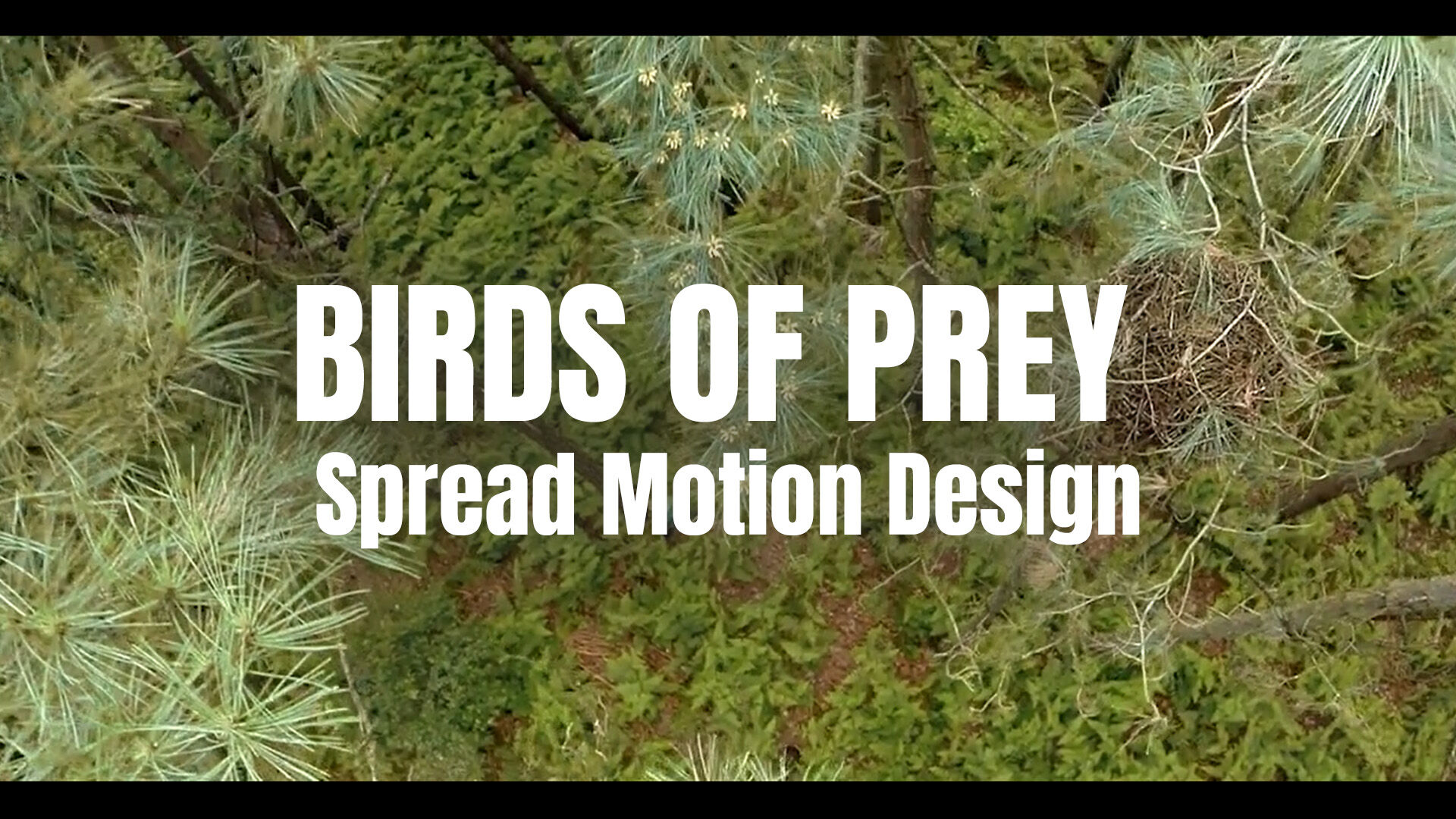 Must see: de schatkamer van KONKAV