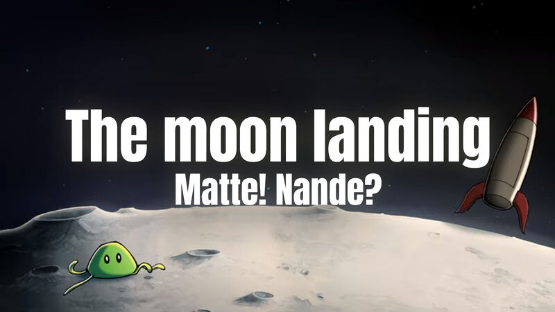 Must see: de schatkamer van KONKAV