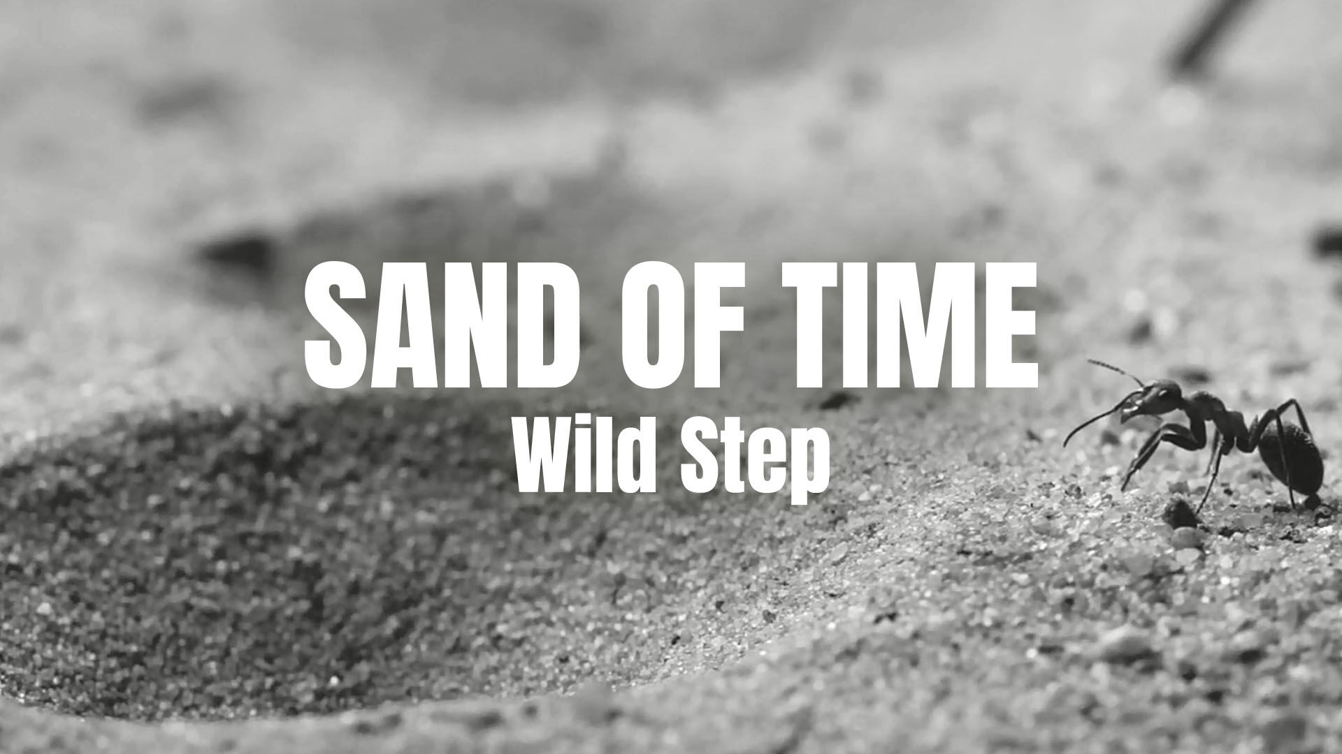 Must see: de schatkamer van KONKAV