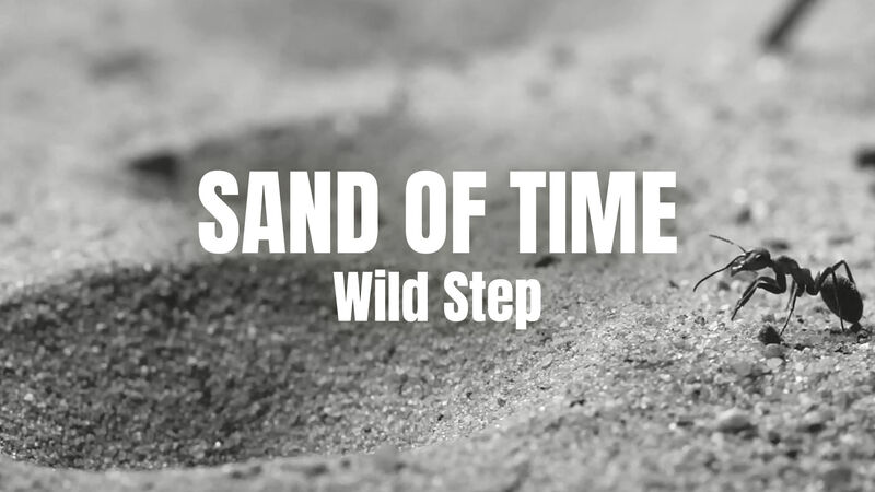 Must see: de schatkamer van KONKAV