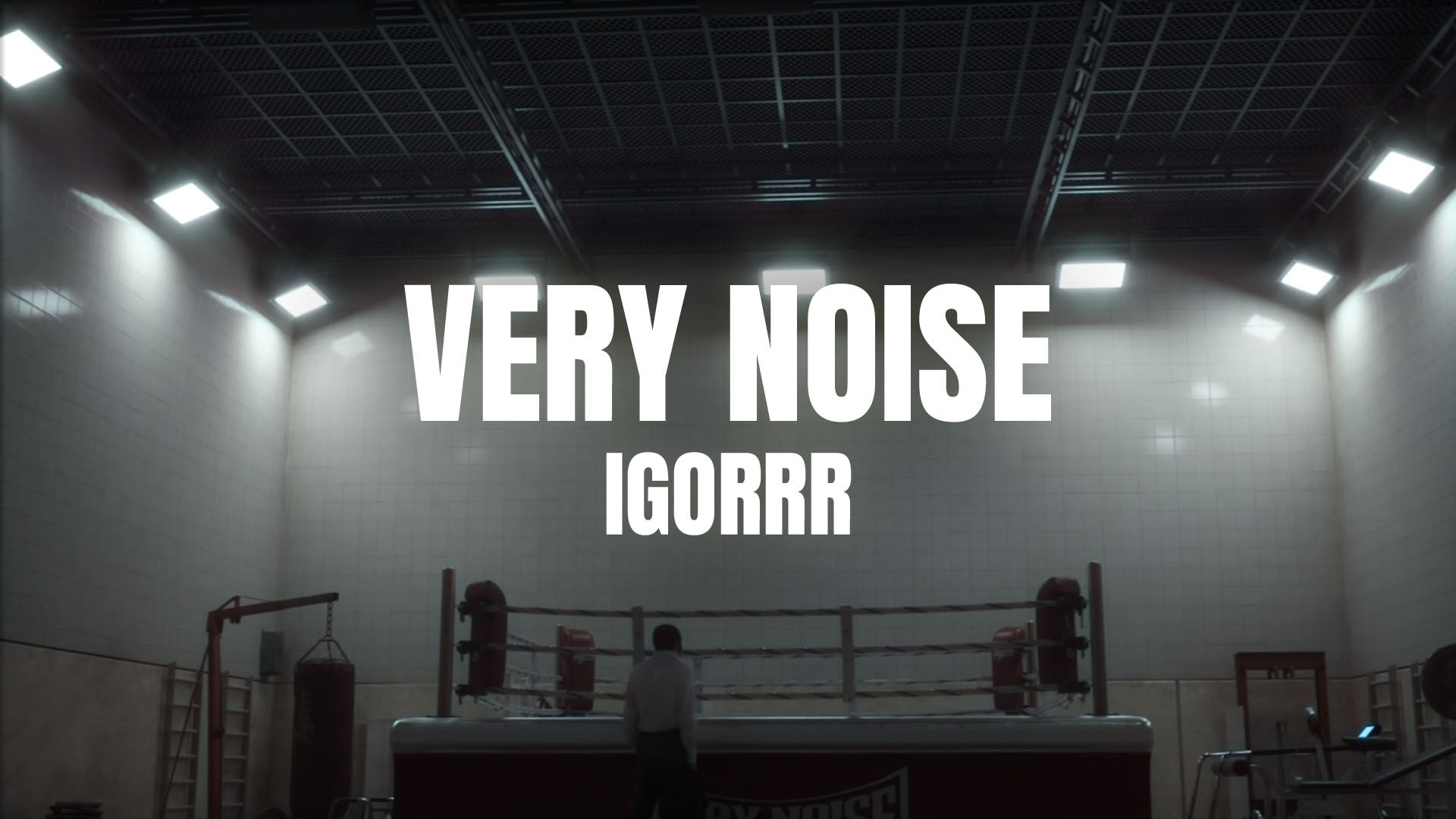 Must see: music videos