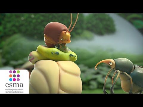 Must see: Sweet cocoon