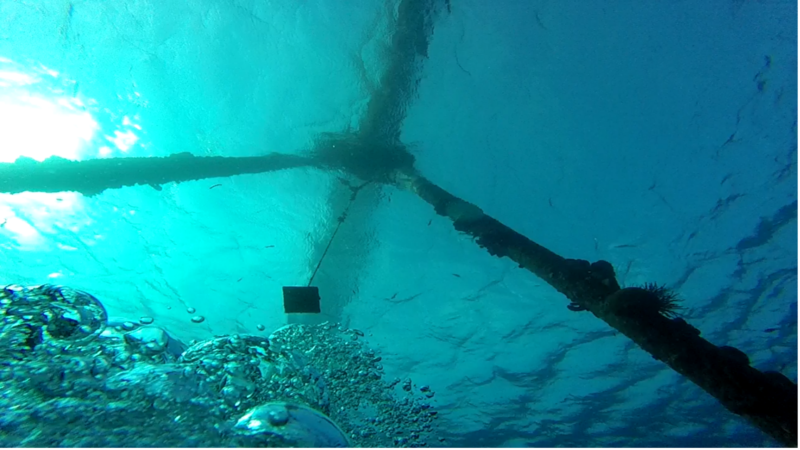 Nieuwe KONKAV'er: Timon Prospèr