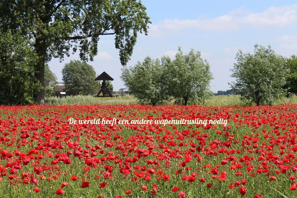 Onbegrensde Vrijheid - Herdenkingsmonumenten in Brabant in een tijd van COVID-19