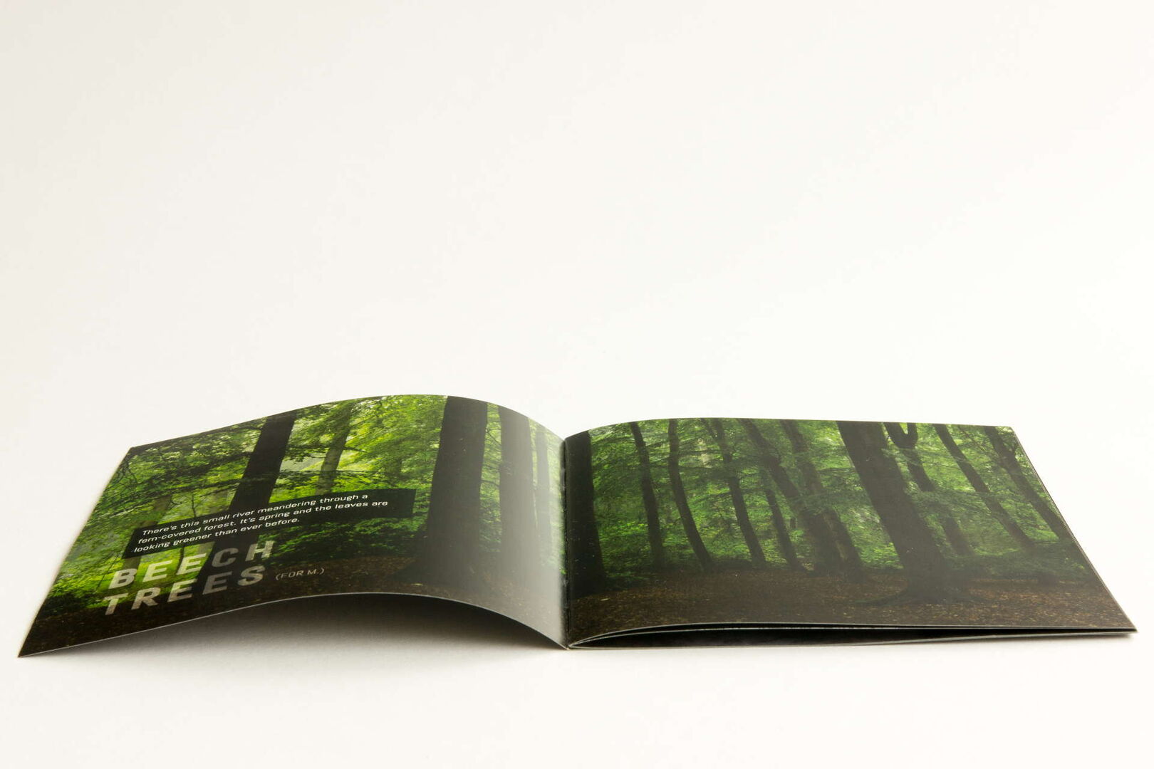 packshot Rain booklet