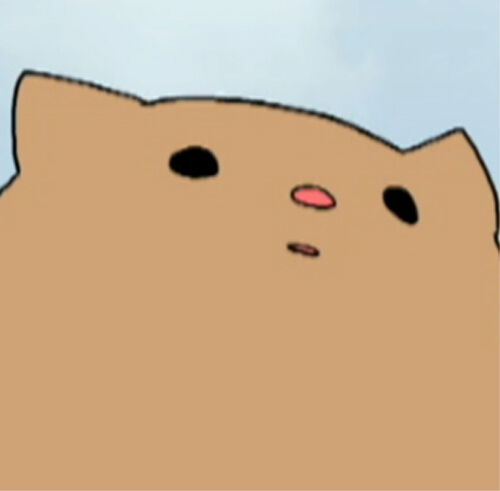 Pancake the morbidly obese cat