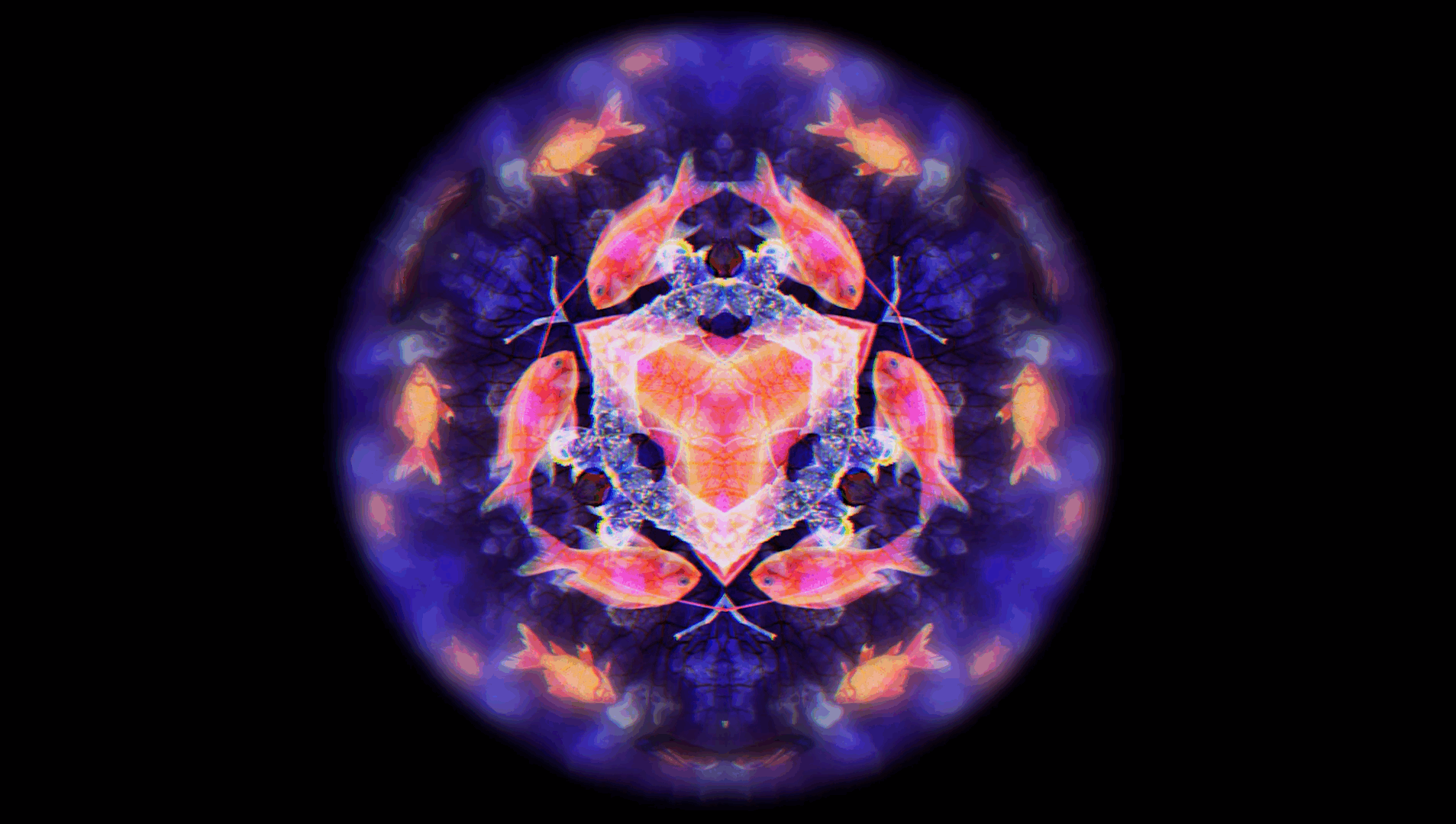 Screenshot 2019-07-22 at 15.16.56