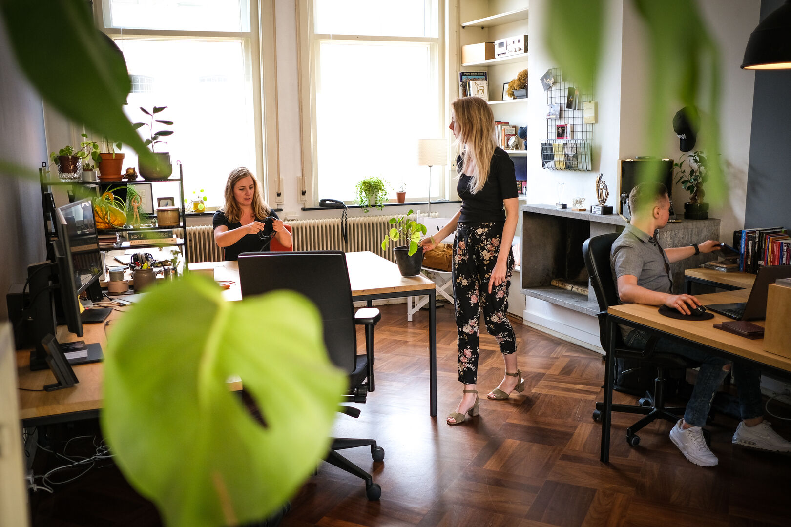 Stichting Studio Nova