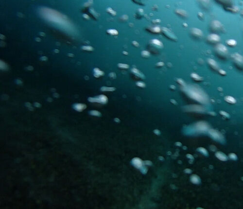 TEEN RADIATION - Surfer's Paradise