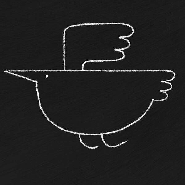 The Dance of Scales and Feathers