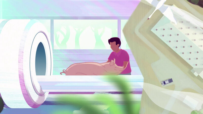 Topigs Norsvin Brandmovie