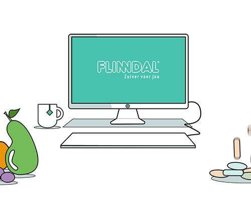 Uitleganimatie - Hoe werkt Flinndal?