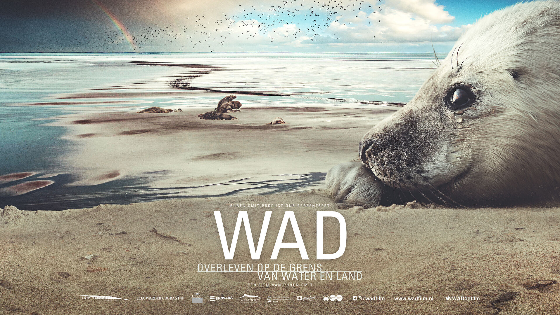 WAD